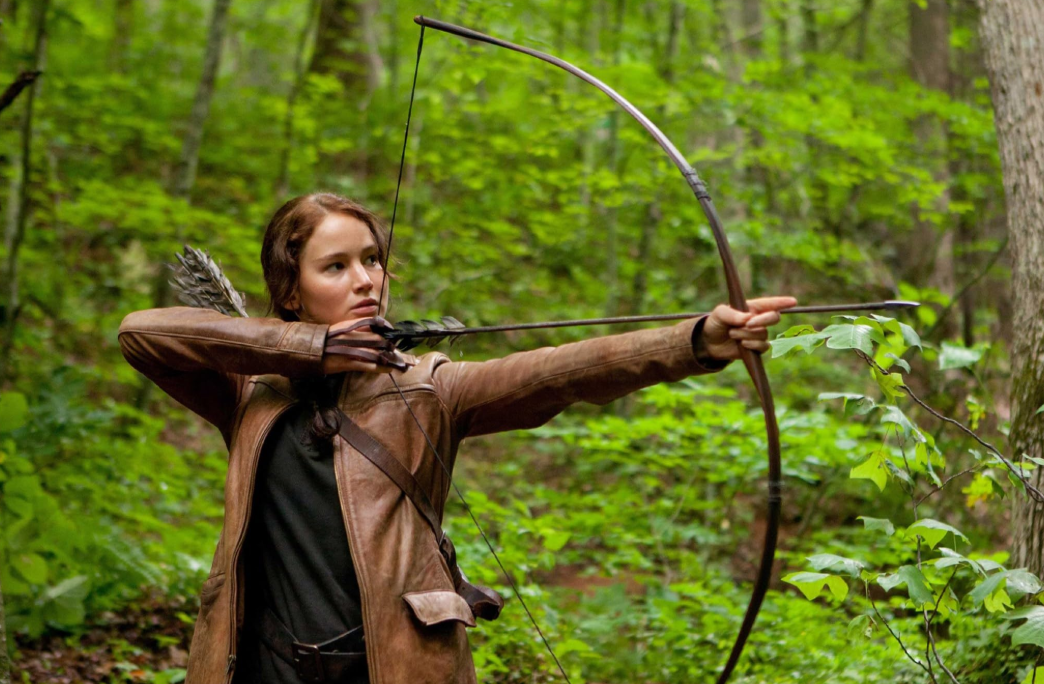 15 Movies like The Hunger Games