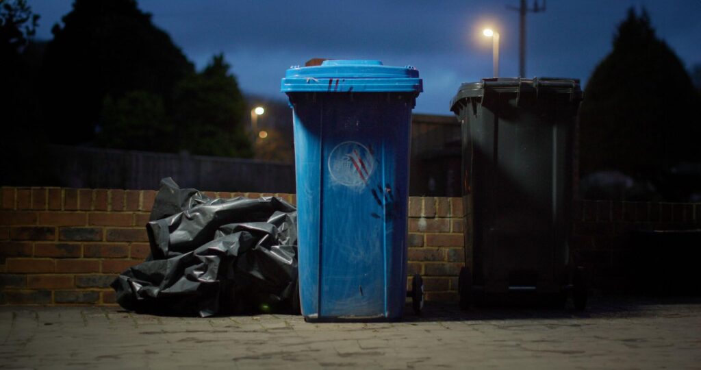 The Body in the Bin: The Story of Louise Kam