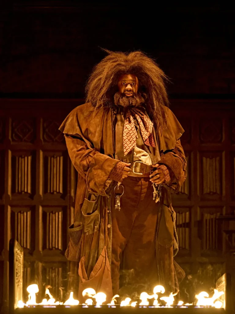 Harry Potter and the Cursed Child Hagrid